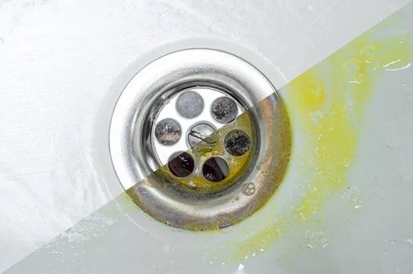 Professional Drain Cleaning Flowery Branch Experts Available Today