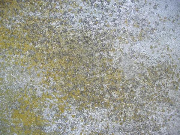 Garage Floor Coatings Albuquerque That Protect Concrete Floors