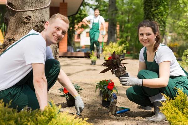 Residential Landscaping Services for Beautiful Home Gardens